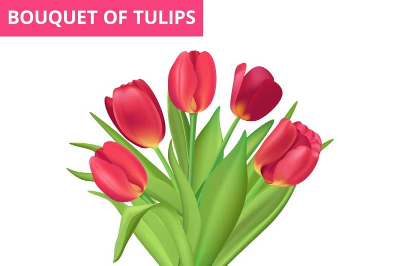 spring-tulips-set