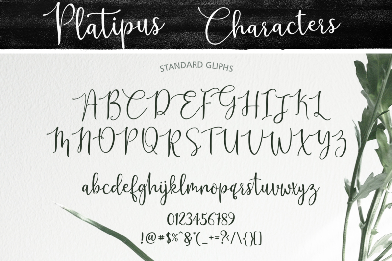 platipus-script
