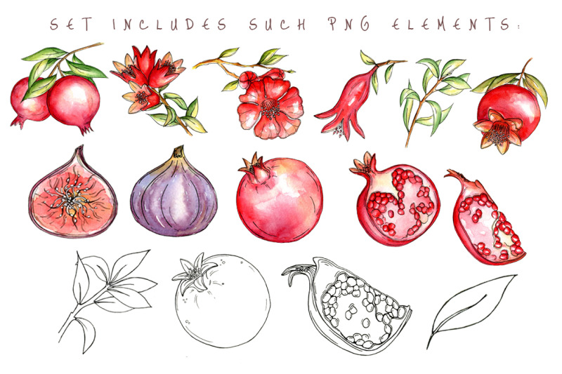 juicy-pomegranate-watercolor-set