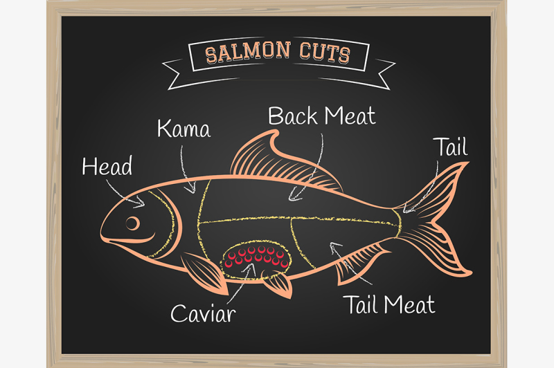 salmon-cuts-illustration