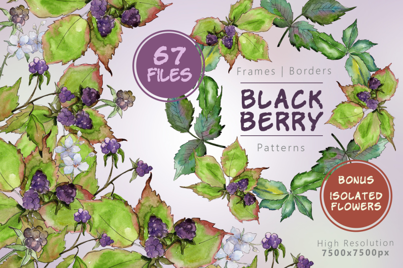 sweetly-blackberry-jpg-watercolor-set