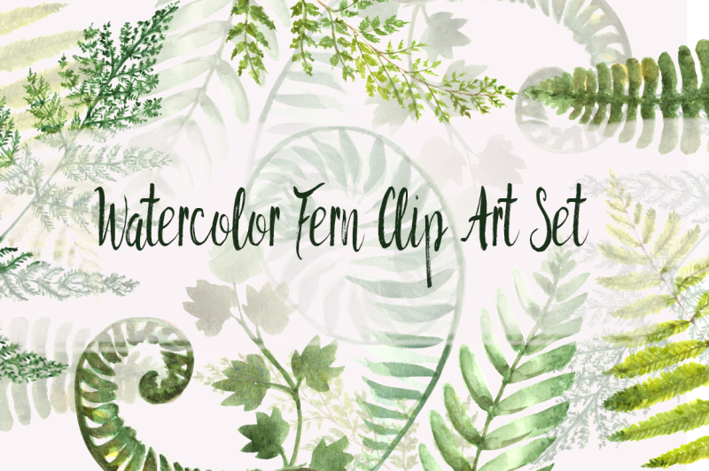 watercolor-fern-clip-art-set