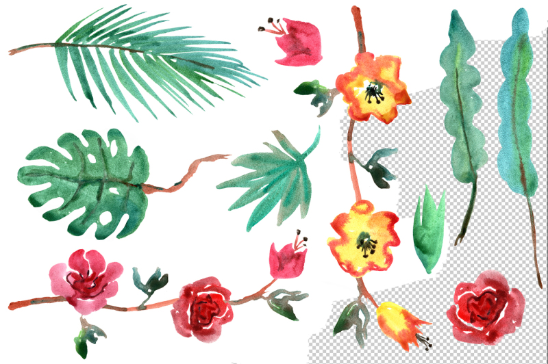 tropical-watercolor-set