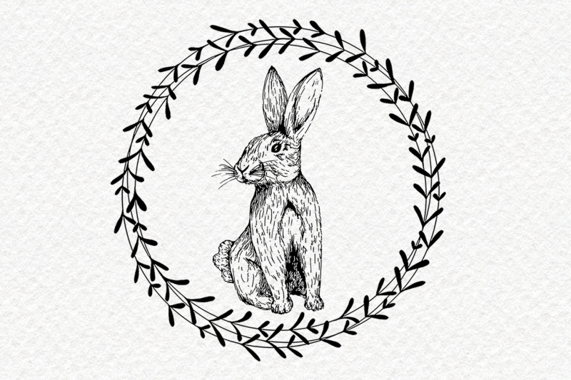 rabbits-clipart-collection-hand-drawn-pngs