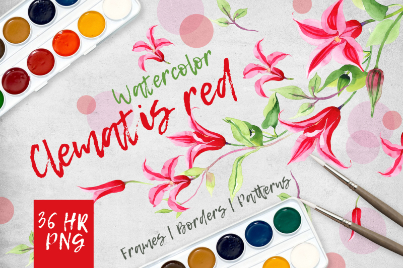 clematis-red-png-watercolor-flower-set