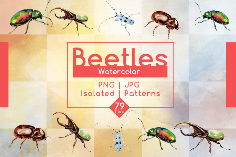 beetles-jpg-watercolor-set