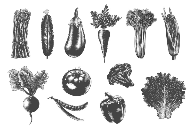 collection-of-hand-drawn-vegetables