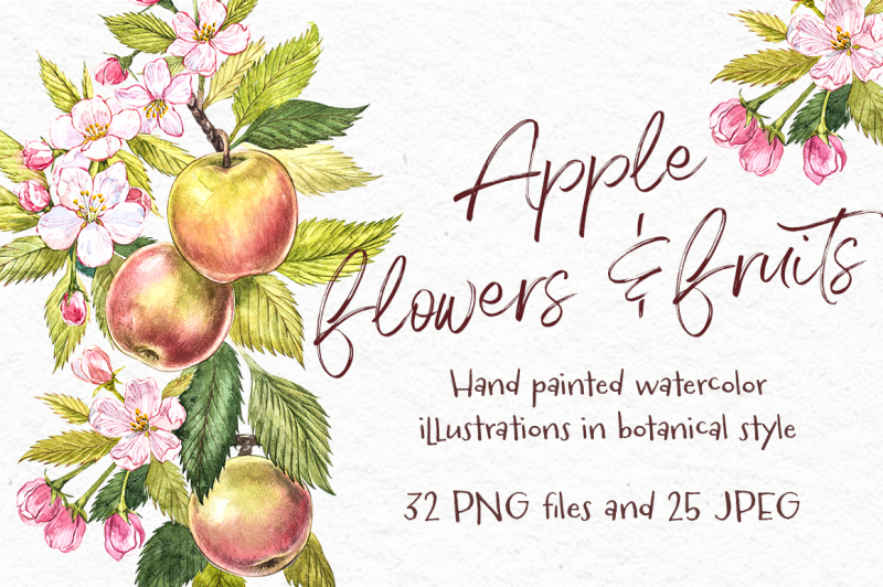 apple-graphic-and-watercolor-clipart