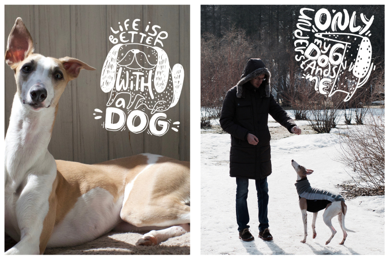 hand-drawn-lettering-about-dogs-part-2