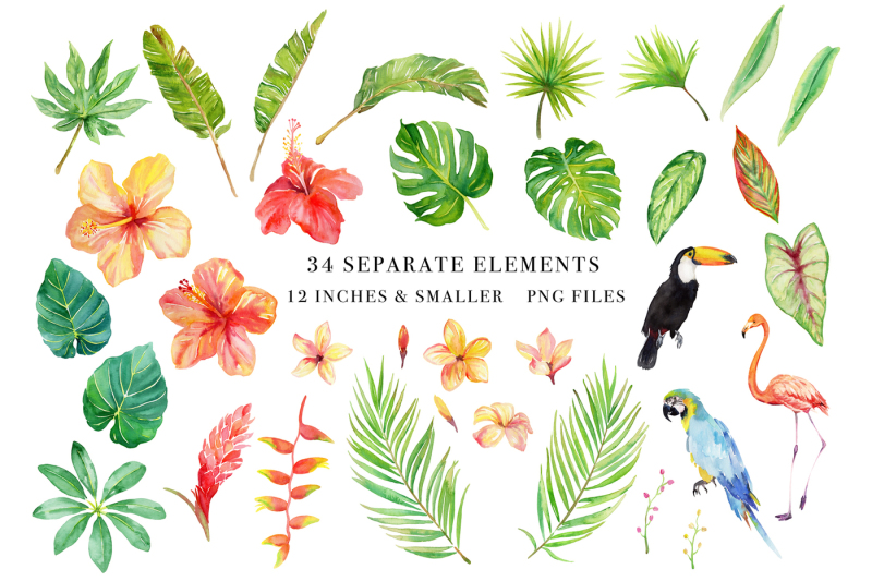 tropical-botanicals-watercolor-set