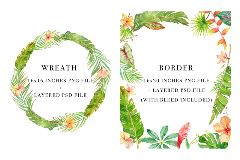 tropical-botanicals-watercolor-set