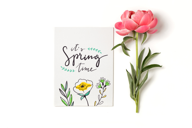 spring-bloom