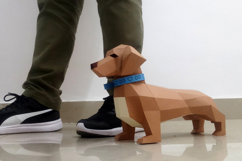 diy-dachshund-puppy-3d-papercraft