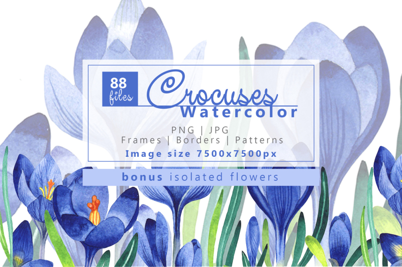 light-blue-crocuses-png-watercolor-set