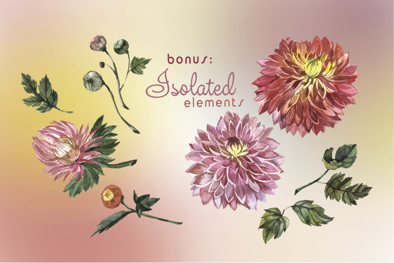 charming-asters-png-watercolor-set