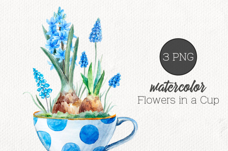 watercolor-set-flowers-in-a-cup-png