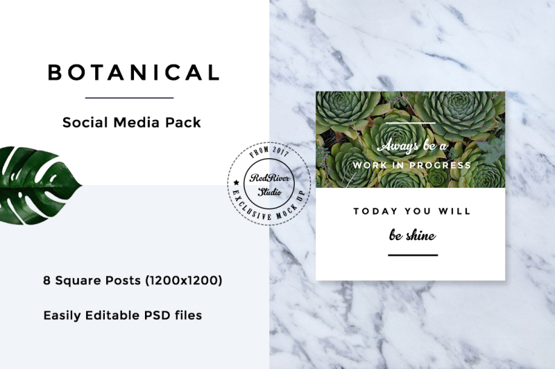 botanical-social-media-pack