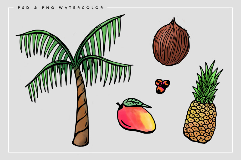 tropical-watercolors-and-illustrations