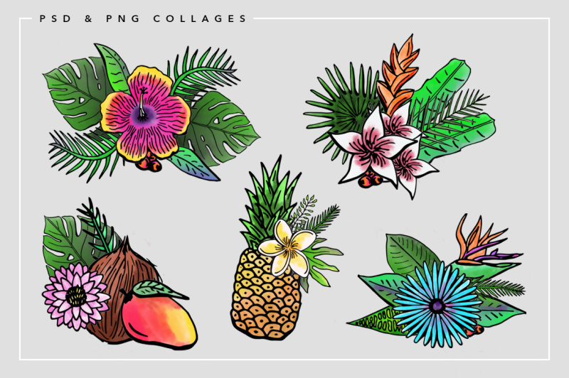 tropical-watercolors-and-illustrations