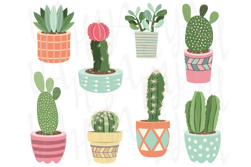 cactuses-potted-plants-elements