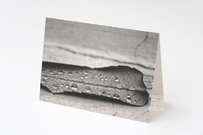 Free Greeting card mockup birtday invitation psd horizontal mock up (PSD Mockups)