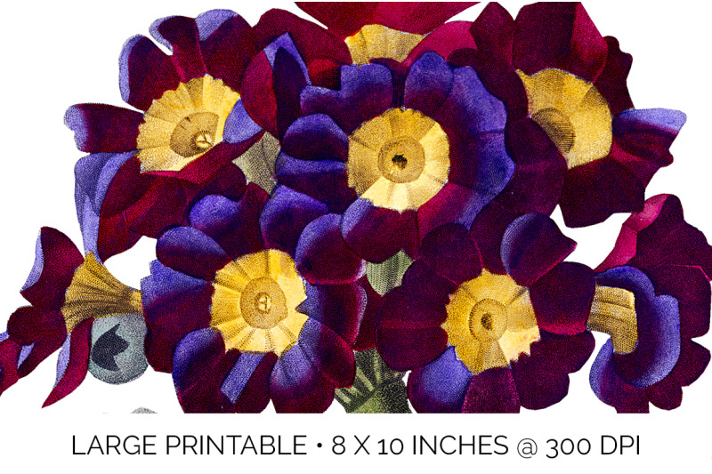 purple-bouquet-flowers-clipart