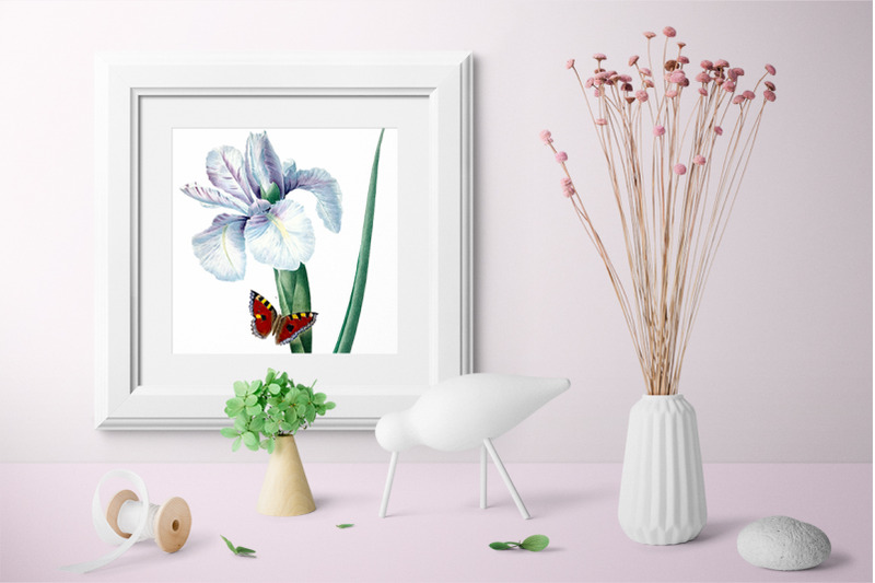iris-clipart-flower