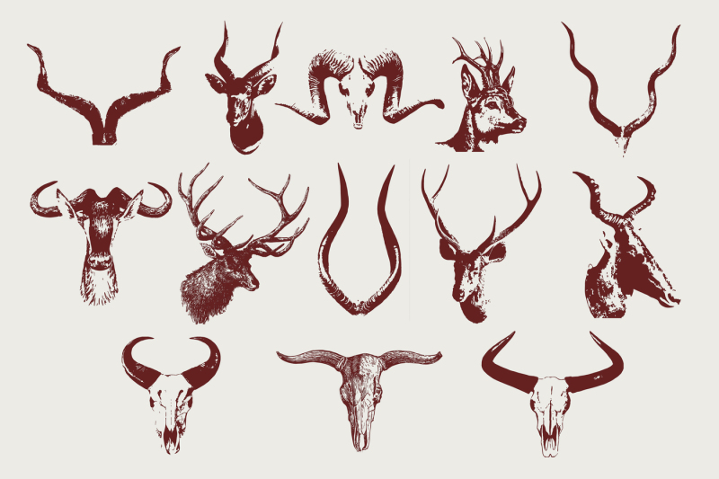 vector-horns-bulls-deers-moose