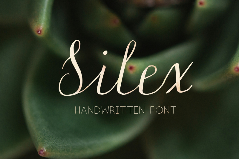 silex-modern-calligraphy
