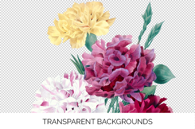 carnation-bouquet-clipart-flower