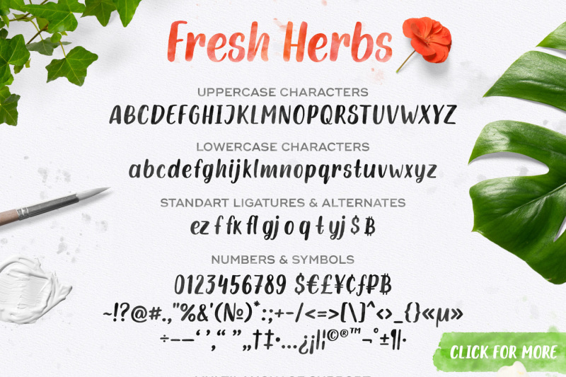 fresh-herbs-font