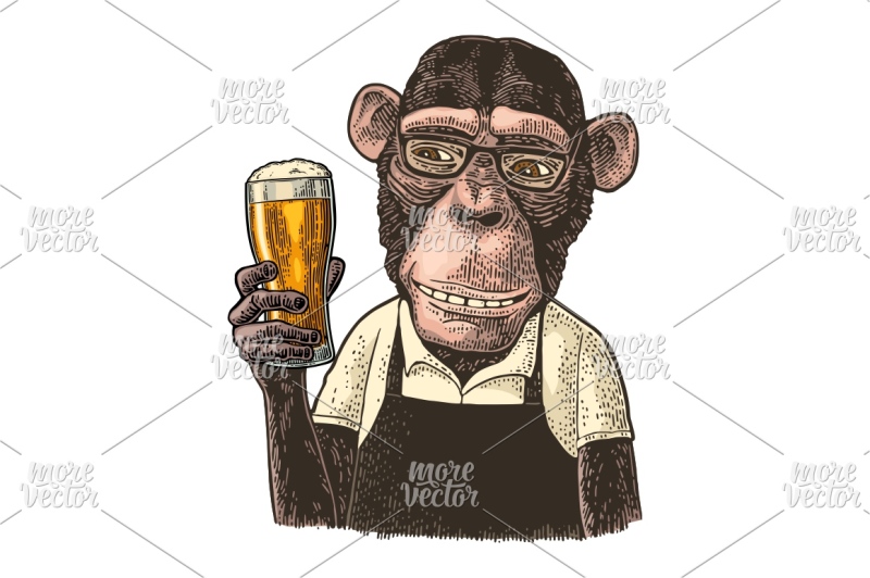 monkey-dressed-apron-hold-beer-glass-vintage-color-engraving
