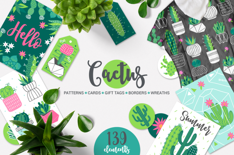 cactus-kit