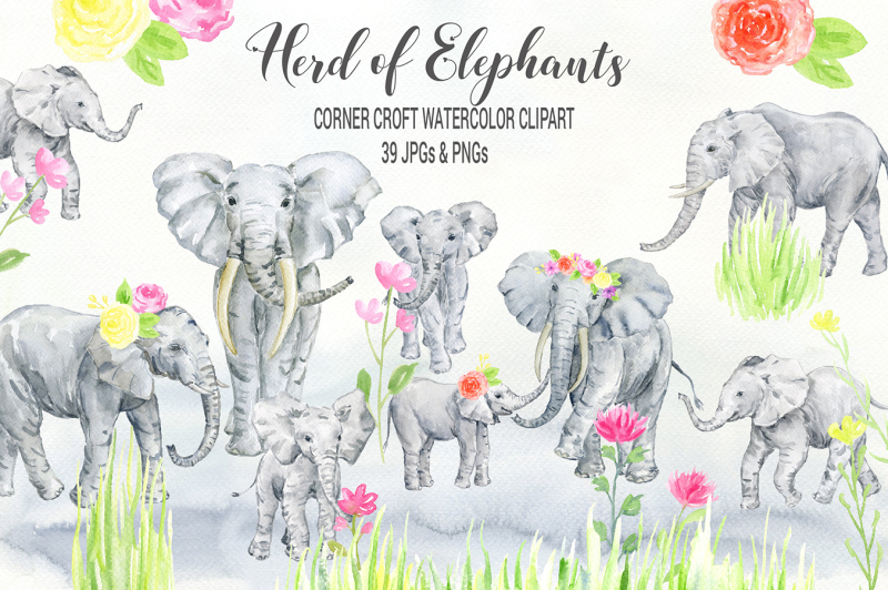 watercolor-herd-of-elephants