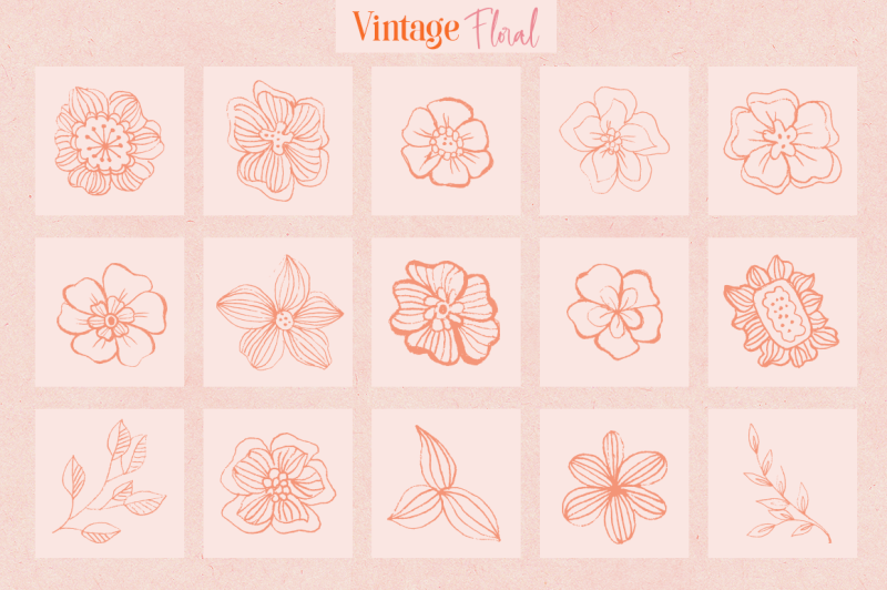 vintage-floral-elements-and-logos