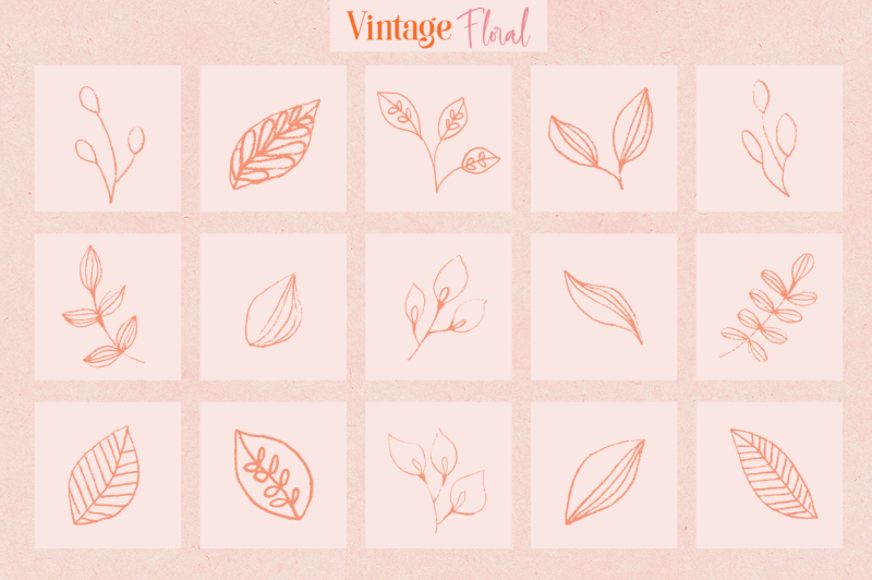 vintage-floral-elements-and-logos
