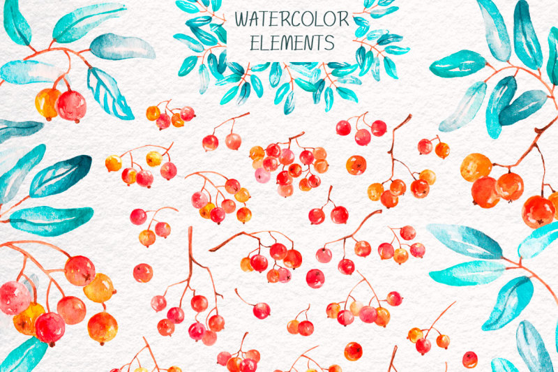 rowan-watercolor-berry-collection