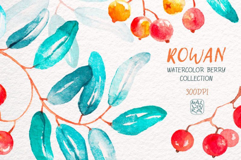 rowan-watercolor-berry-collection