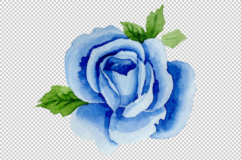 wildflower-blue-rose-png-watercolor-set