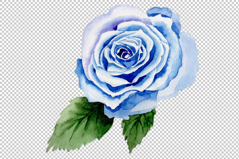wildflower-blue-rose-png-watercolor-set