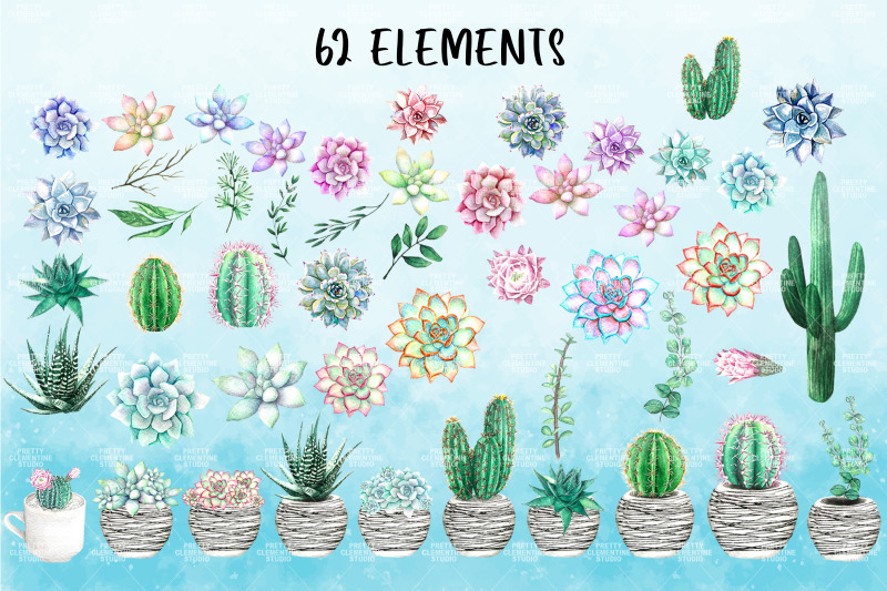 watercolor-succulent-clipart-set-cactus-clipart-png