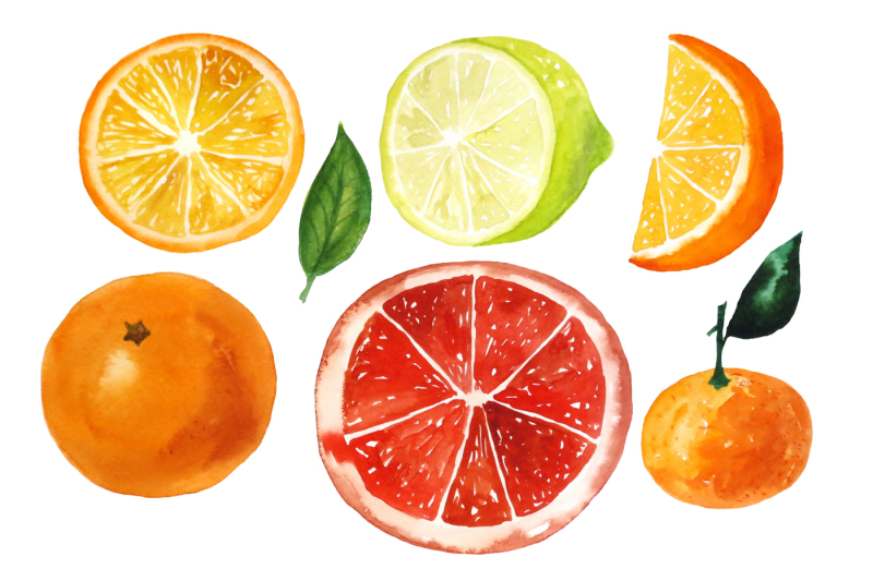 set-of-watercolor-citrus-fruits