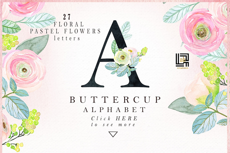 buttercups-ranunculus-soft-pink-watercolor-illustrations