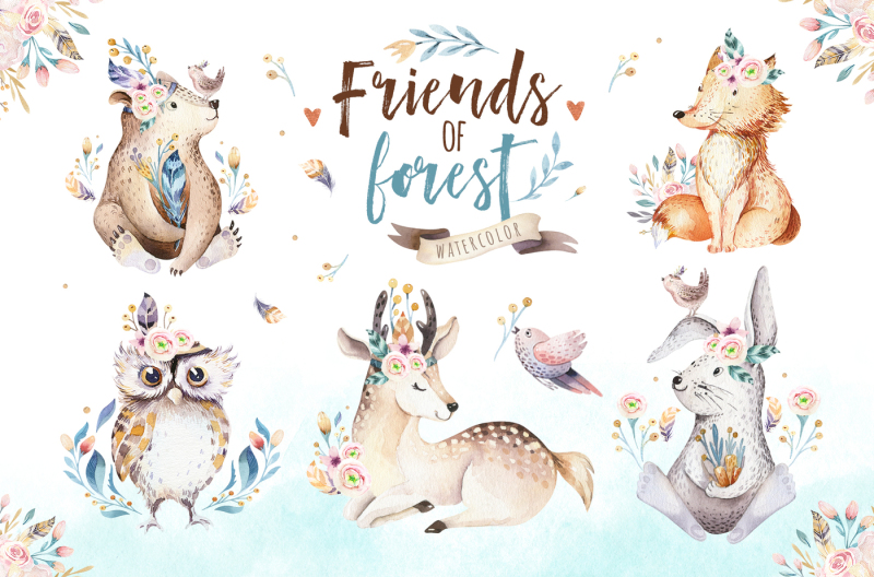 friends-of-forest