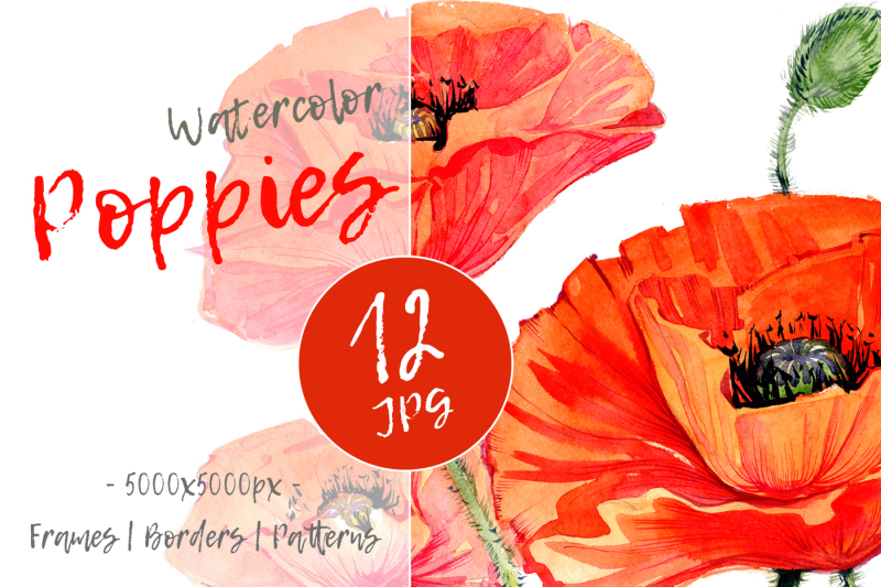 red-poppies-png-watercolor-set