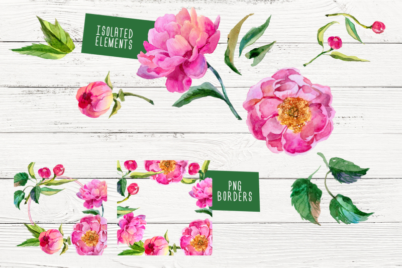 paradise-pink-peonies-png-watercolor-set