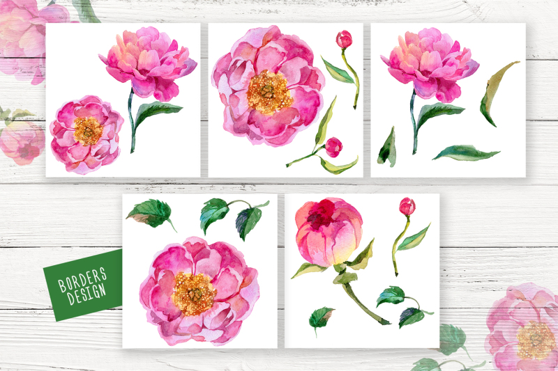 paradise-pink-peonies-png-watercolor-set