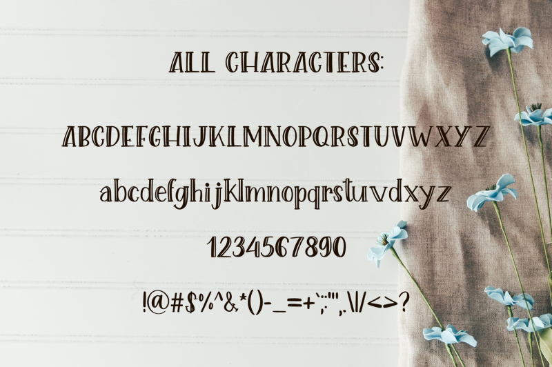 lovely-creature-cute-serif-font