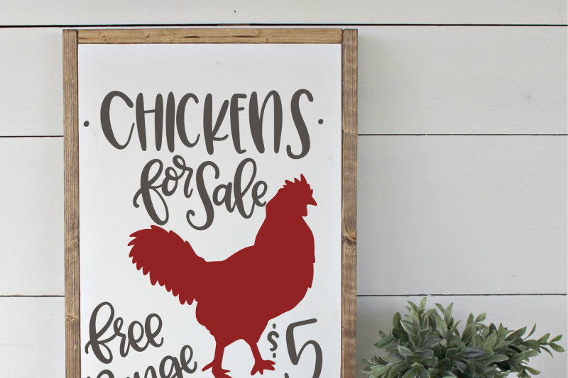 chickens-for-sale-hand-lettered-svg