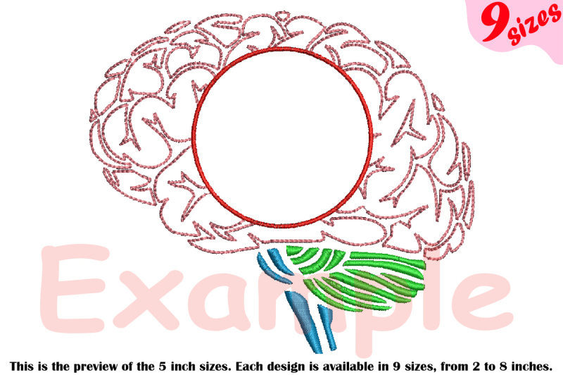 brain-outline-embroidery-frame-science-school-anatomy-biology-215b